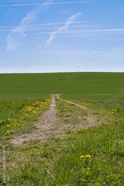 Fototapeta Feldweg 