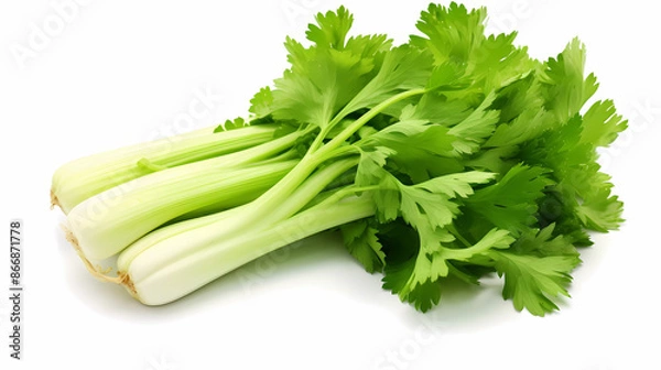 Fototapeta celery isolated on white background