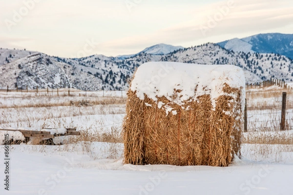 Obraz One Big Bale of Hay
