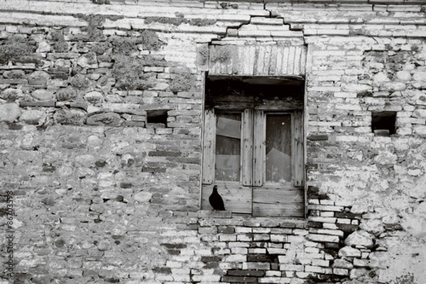 Obraz Piccione in attesa