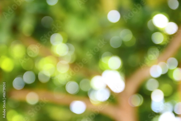 Obraz green bokeh from tree