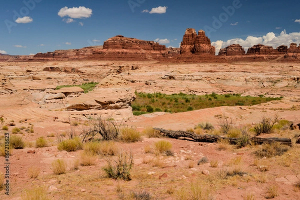 Fototapeta アメリカの西部劇のような不毛な大地、壮大な風景