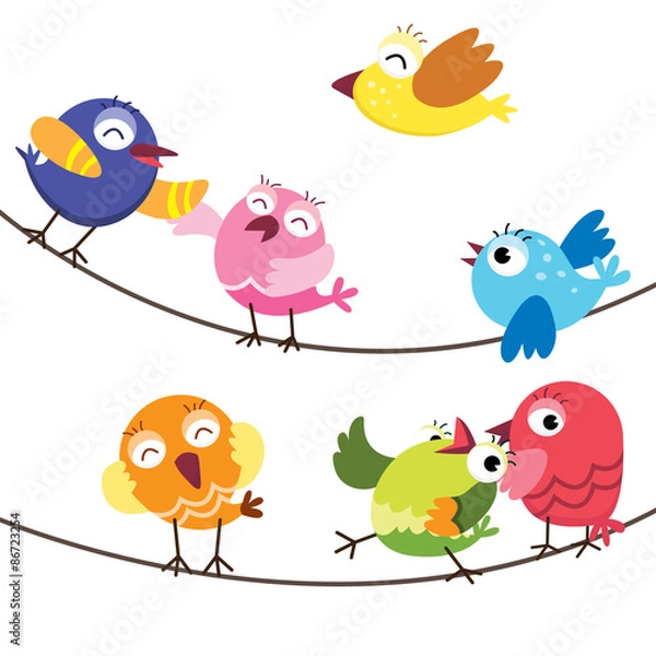 Fototapeta Cute Birds