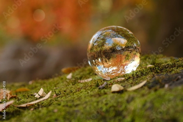 Obraz 水晶玉と秋