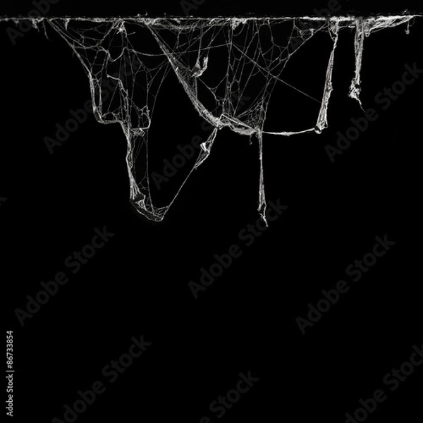 Obraz pajęczyna lub pajęczyna w starożytnym tajskim domu na białym na czarnym tle i kopia przestrzeń