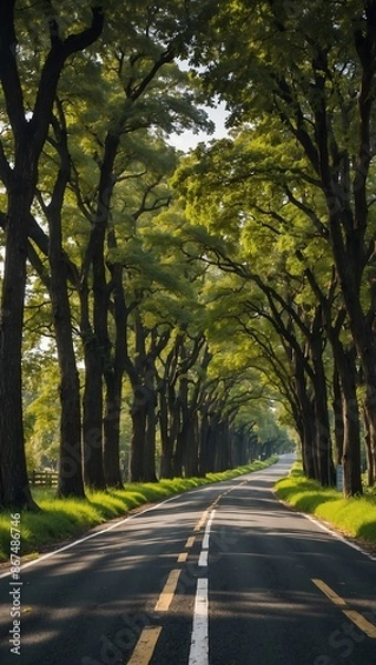 Obraz road in the forest