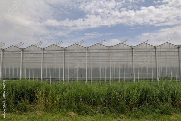 Fototapeta front view at a greenhouse complex with glass closeup at a green field in the dutch countryside 
