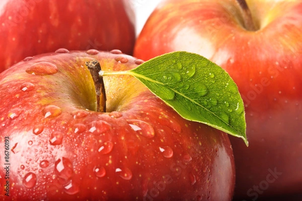 Obraz isolated juicy red apple