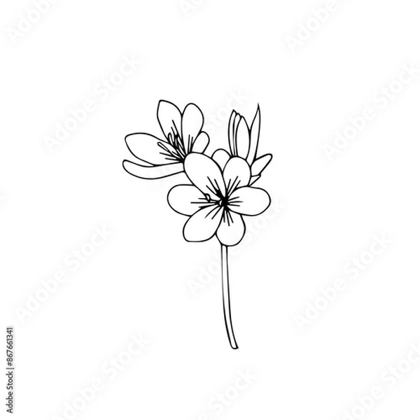 Obraz Simple floral line art style design silhouette vector isolated