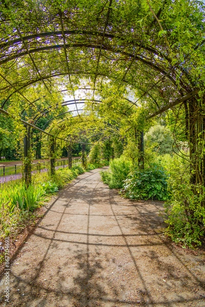 Obraz Beautiful garden archway and pergola with foliage and plants grown up and over the top. Paved walkway leading off in the distance.