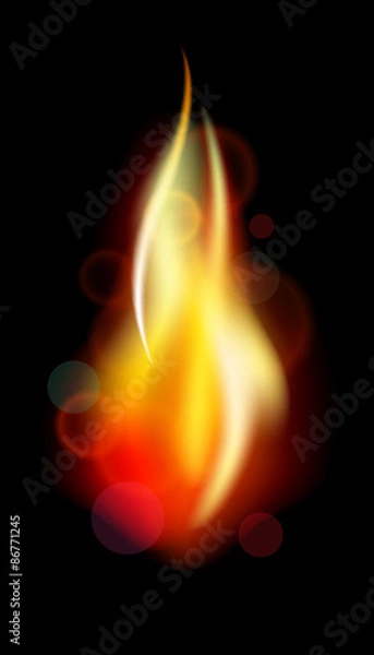 Fototapeta Fire. Vector flame 