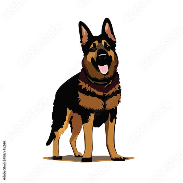 Fototapeta 見つめるシェパード_001