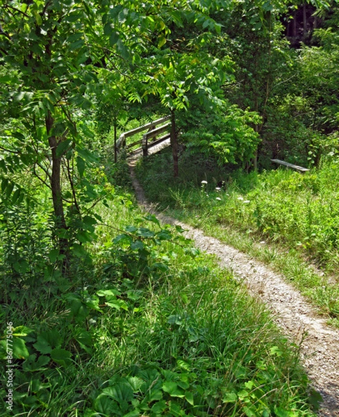 Obraz A country path leading to a wooden bridge and bench.