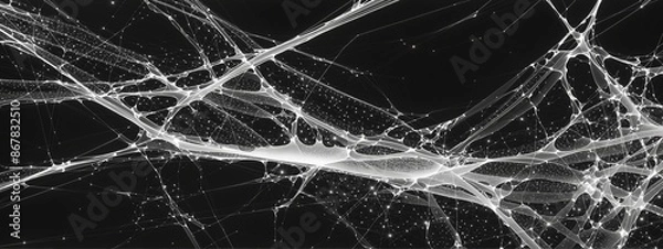 Obraz Black and white stringy background 