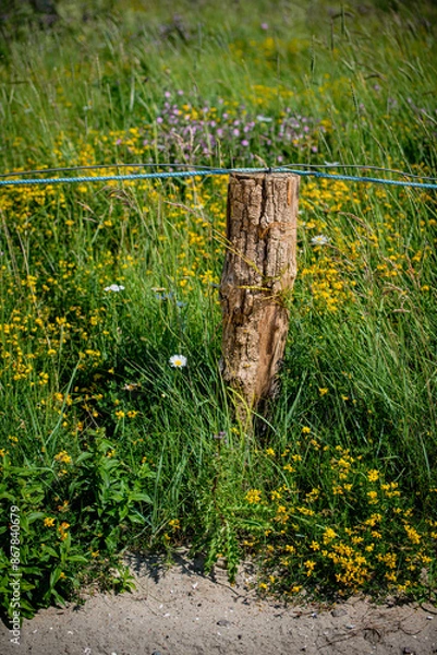 Obraz Just a fence at the beach