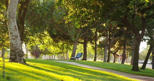 Obraz Słoneczny park