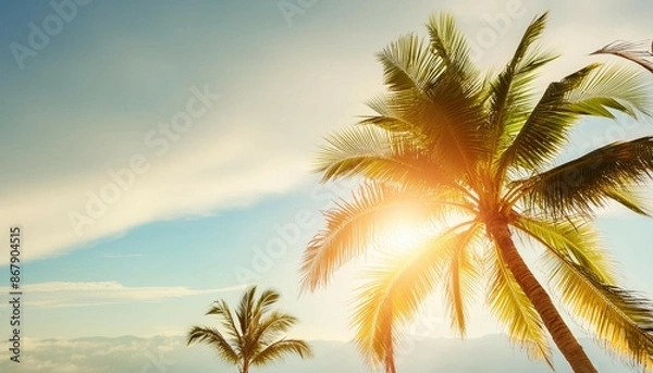 Fototapeta Copy space of tropical palm tree with sun light on sky background.
