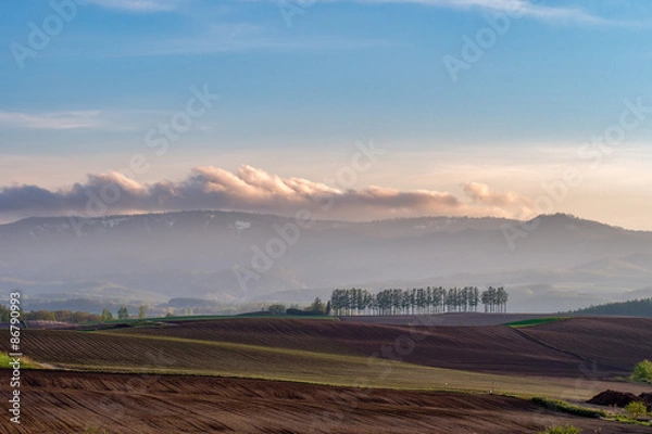 Obraz マイルドセブンの丘