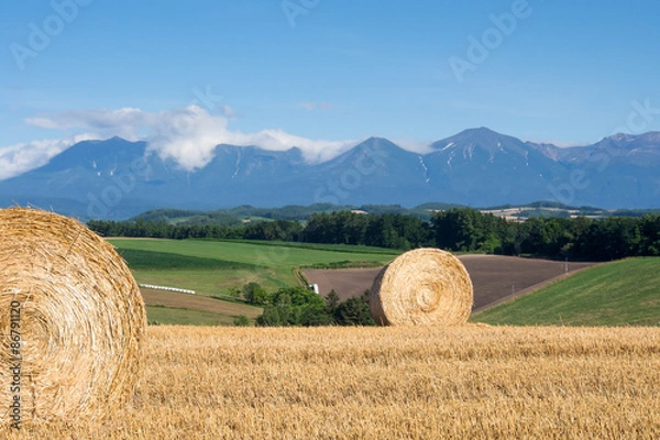 Obraz ロールベールラップサイロと十勝連峰