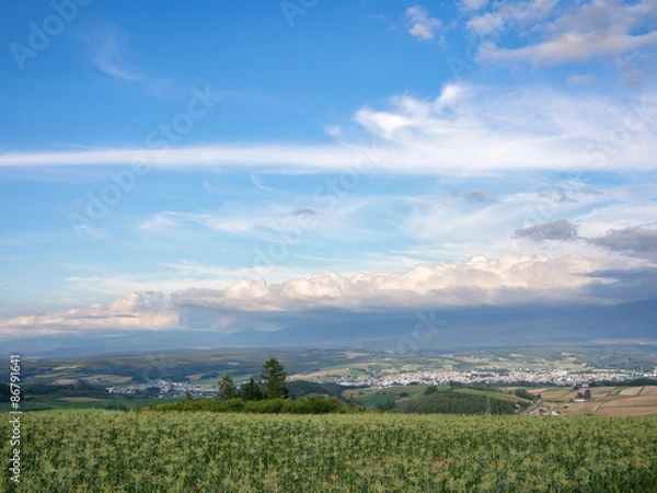 Obraz 千望峠より見た上富良野町
