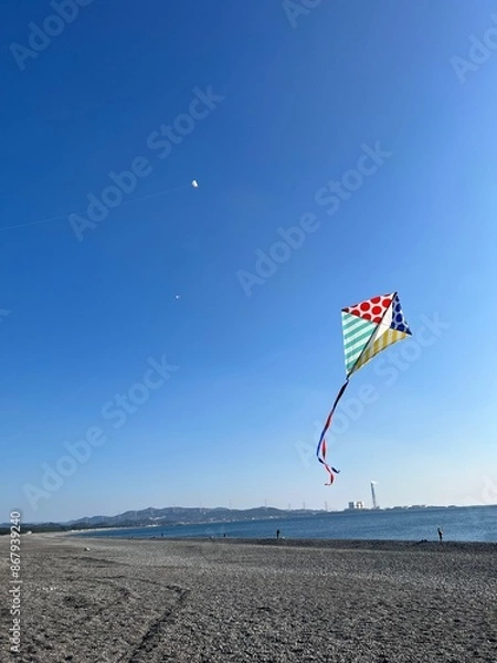 Obraz kite in the sky