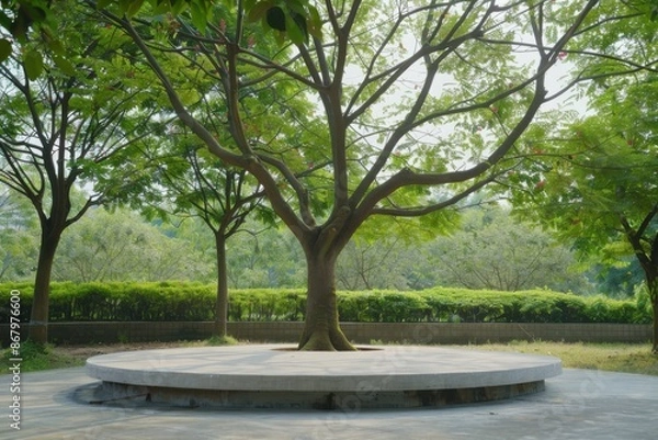 Obraz Serene park scene with a large tree and circular bench, perfect for relaxation, meditation, or enjoying nature