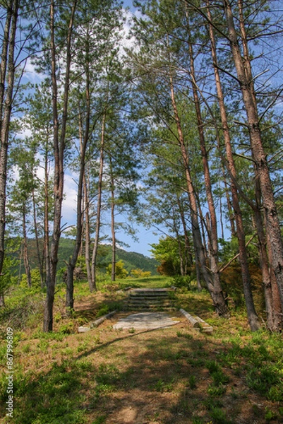 Fototapeta 奥津湖