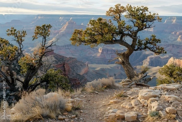Fototapeta Mesmerizing grand canyon panoramas from diverse angles for an unforgettable visual experience