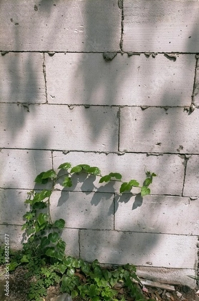 Fototapeta Graphic resources good for background