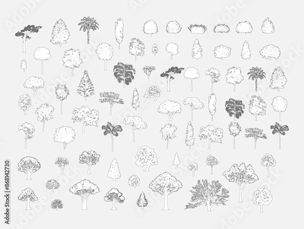 Obraz Big set of tree silhouette, Vector illustration in stroke fill in white. 
