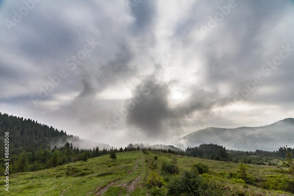 Fototapeta Misty morning in the Carpathians