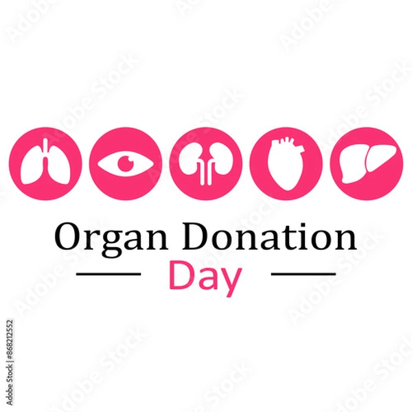 Fototapeta World Organ Donation Day, August 13, Lungs, Kidneys, Liver, Eye and Heart on a white background in blue circles. Vector illustration