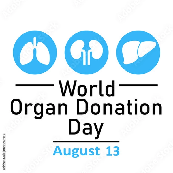 Fototapeta World Organ Donation Day, August 13, Lungs, Kidneys and Liver on a white background in blue circles. Vector illustration