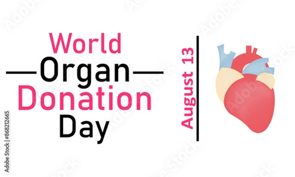Fototapeta World Organ Donor Day. Vector graphics on a white background. A heart on a white background, August 13
