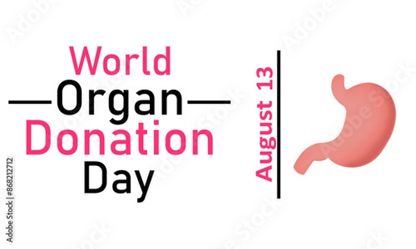 Fototapeta World Organ Donor Day. Vector graphics on a white background. Stomach on a white background, August 13