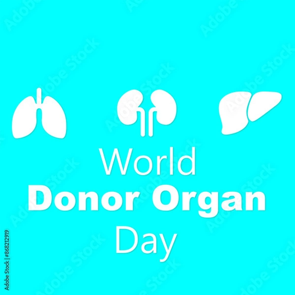 Fototapeta World Organ Donation Day, August 13, Lungs, Kidneys and Liver on a white background in blue circles. Vector illustration