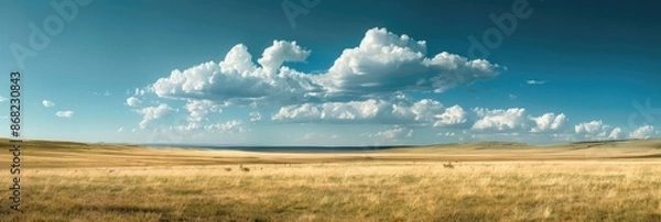 Fototapeta Open Plains. A Serene Meadow in the Great Colorado Prairie