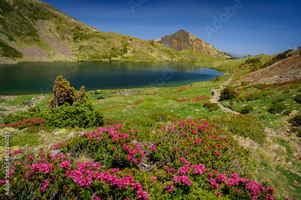 Obraz Carlit Lakes, Les Bouillouses, in summer (Pyrenees Orientales, France)