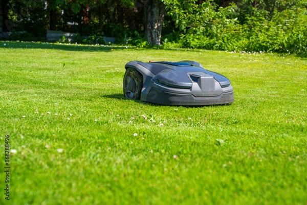 Fototapeta Modern Automated Grass Cutting Machine in Sunlit Yard. Autonomous Garden Maintenance Technology in Action.