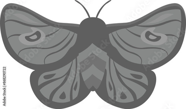 Fototapeta Big moth with beautiful pattern on its wings, isolated on white background