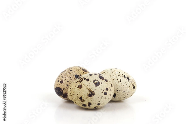 Obraz quail eggs on a white background 
