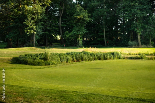 Obraz Golf course in green field