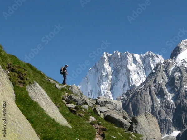 Obraz Devant les Grandes Jorasses