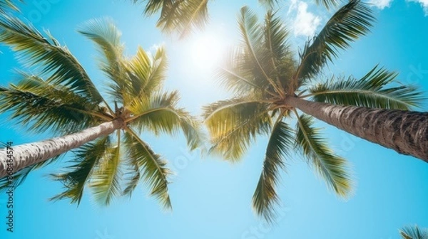 Fototapeta Palm trees as seen from below on a blue sky