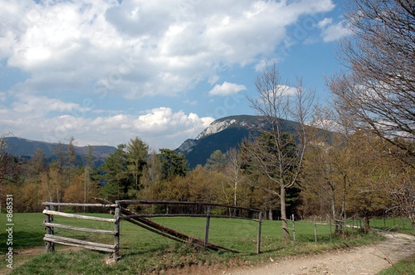 Obraz austria mountain meadow