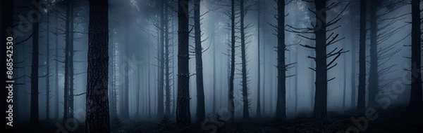 Fototapeta 霧でかすみがかった森の木々のシルエット