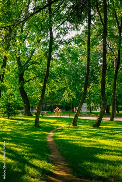 Fototapeta Walking in the city park with the beautiful grass and vibrant green leaves.
