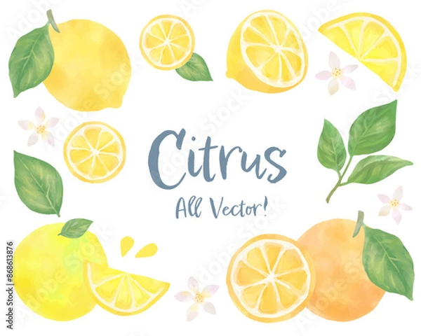 Fototapeta 柑橘系フルーツとリーフの水彩風イラストセット