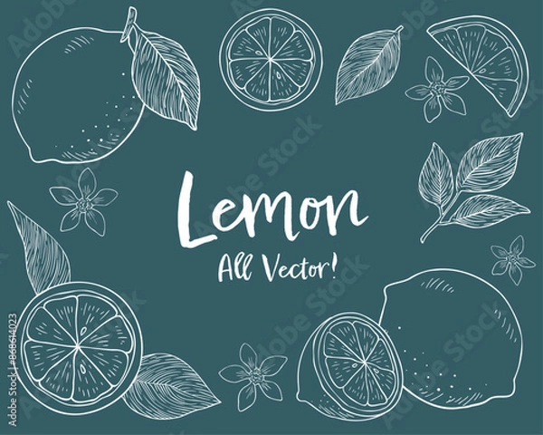 Obraz レモンとリーフの手描きチョークアート風イラストセット