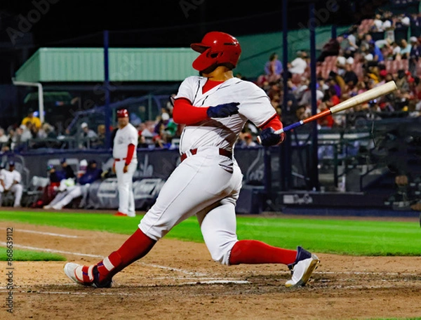 Obraz red baseball player